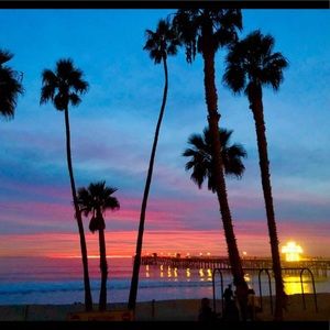 Meet your Posher, Terry